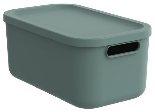 Albula Light Aufbewahrungsbox in Mistletoe Grün in schräger Ansicht von oben  mit Deckel und seitlichen Griffen