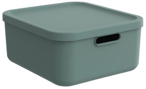 Grüne Albula Light Mistletoe Aufbewahrungsbox in schräger Ansicht von oben  mit Deckel und seitlichem Griffausschnitt