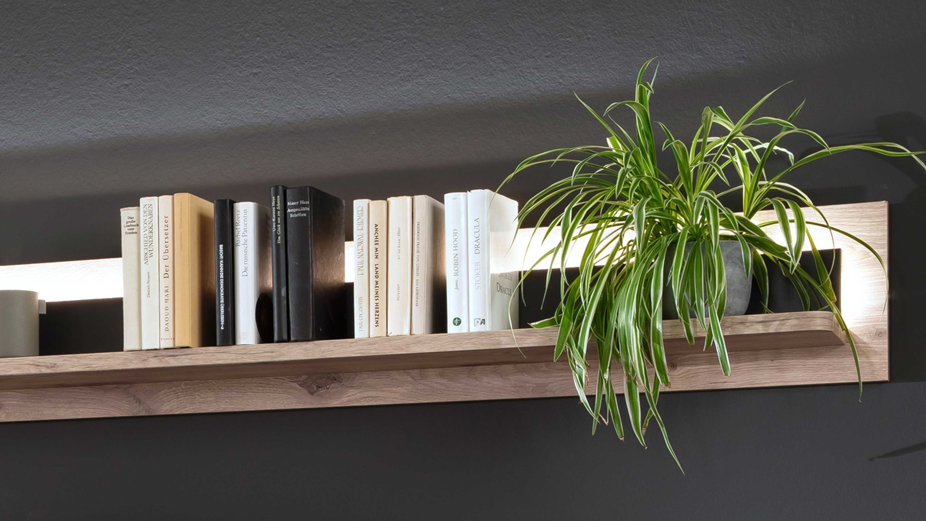 Wandregal mit Bücherreihe und grüner Pflanze auf der rechten Seite beleuchtete Rückwand