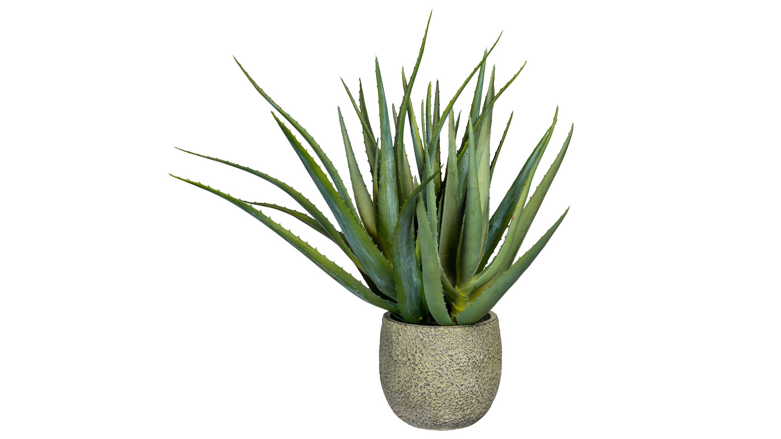 Künstliche Aloe Vera Pflanze mit langen spitzen grünen Blättern in rundem grauem Zementtopf