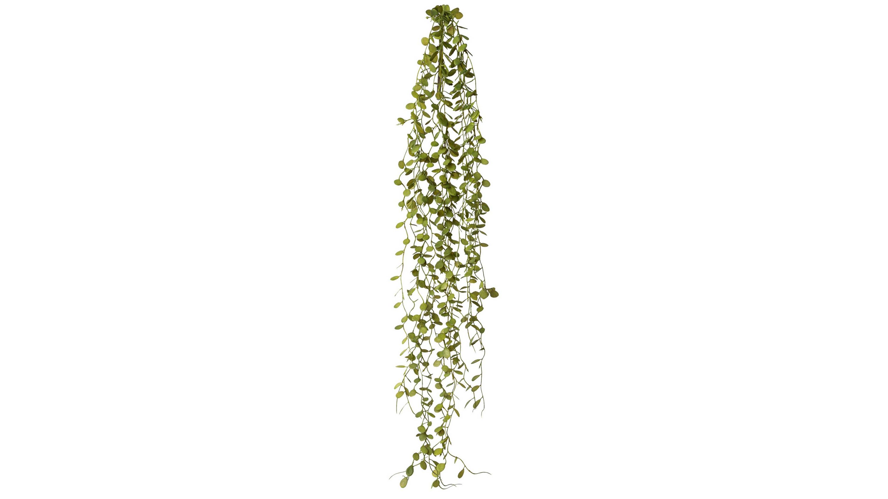 Künstliche hängende Pflanze mit grünen Blättern Hängende Pflanze mit kleinen grünen Blättern aus Kunststoff
