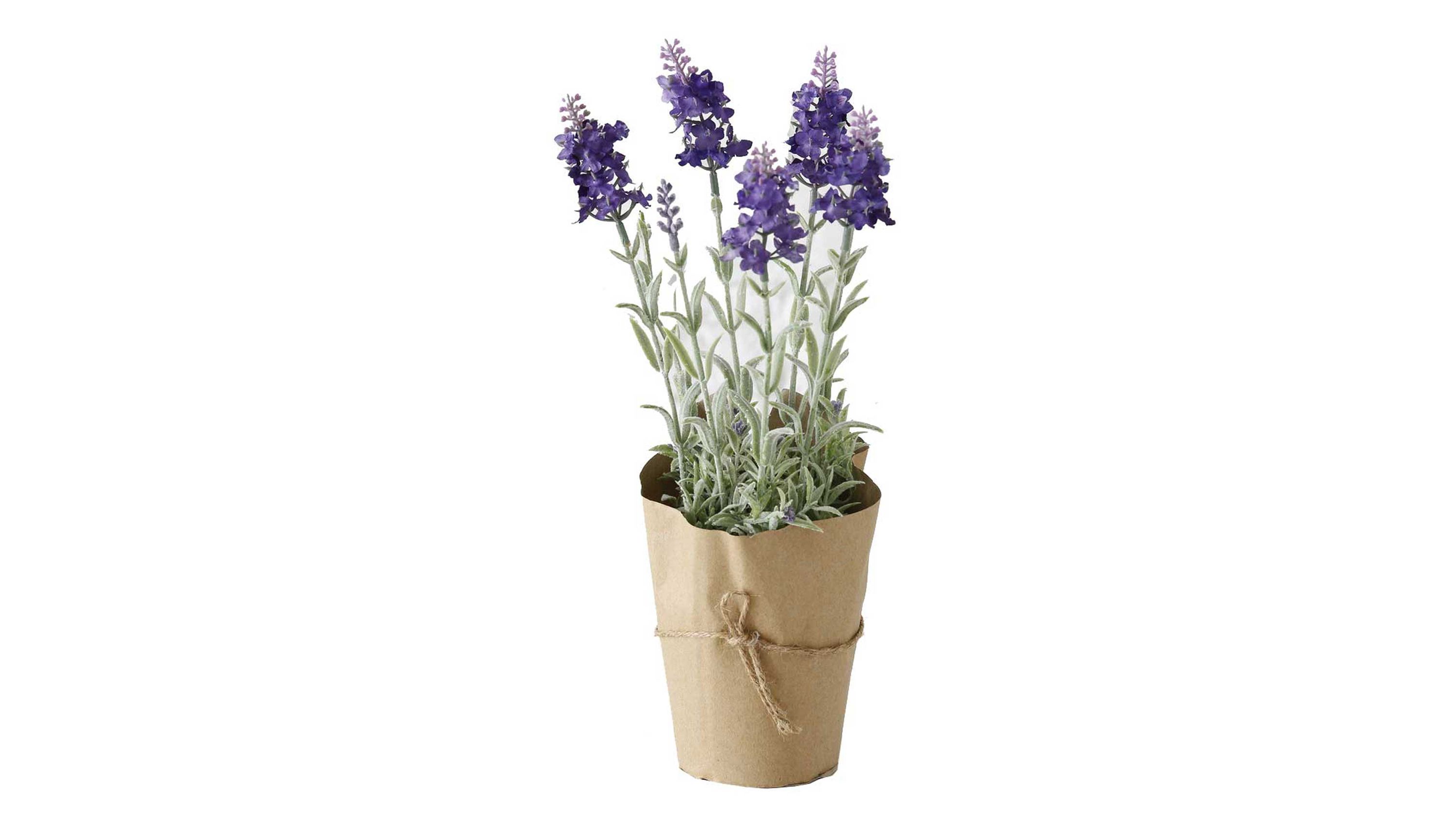 Kunststoff-Lavendel mit lilafarbenen Blüten und grünen Blättern in braunem Papierübertopf mit Schnur