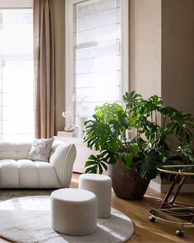 Wohnzimmer mit Poufs und großer Monstera im Sonnenlicht. Helles Wohnzimmer mit weißem Sofa, zwei runden Poufs, großer Monstera-Pflanze und Tageslicht durch hohe Fenster.