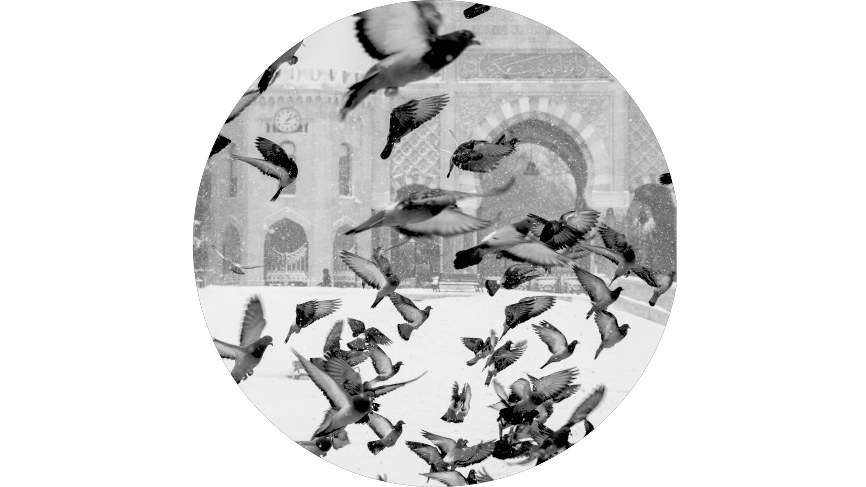 Runder Kunstdruck auf Holz mit fliegenden Tauben vor einem historischen Gebäude in Moskau