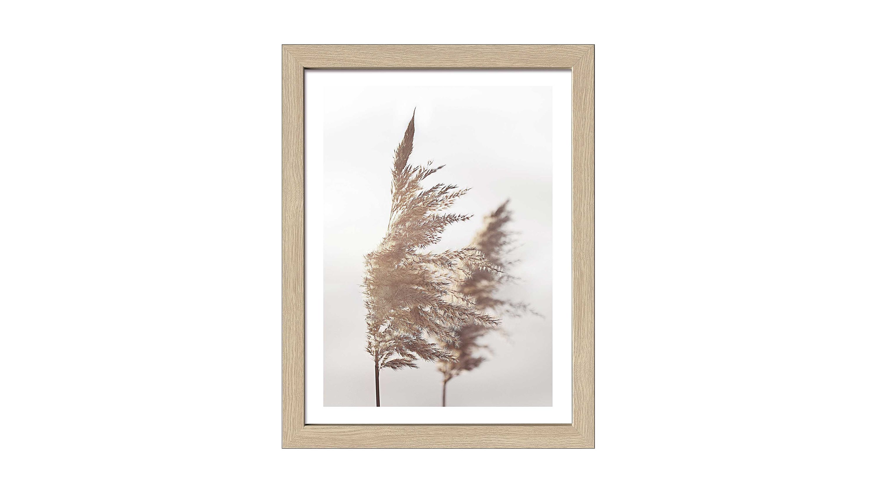 PRO®ART Kunstdruck In the Breeze III Holzrahmen - ca. 35 x 45 cm