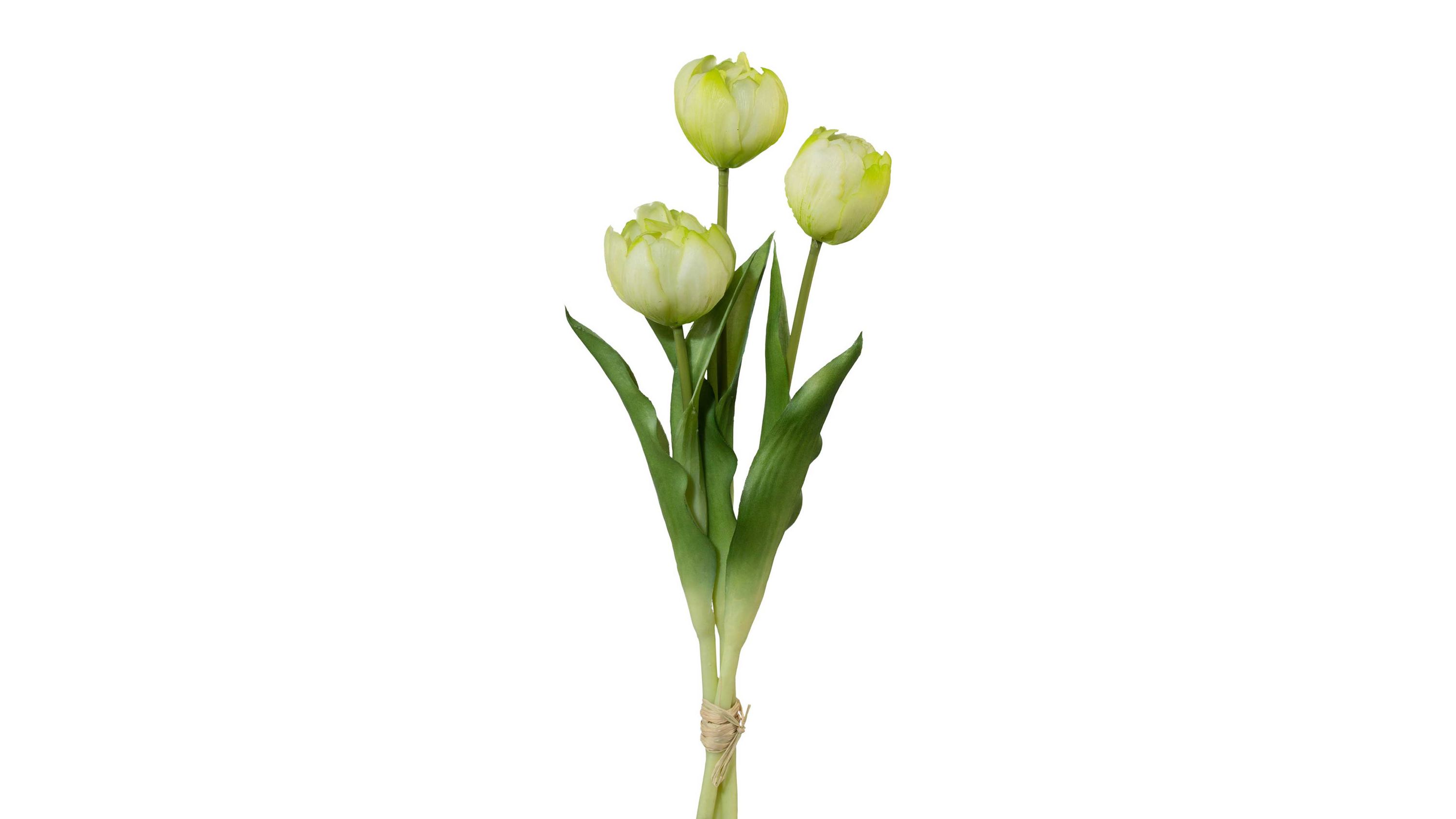 Drei weiße Tulpen mit grünen Blättern aus Textil gebündelt