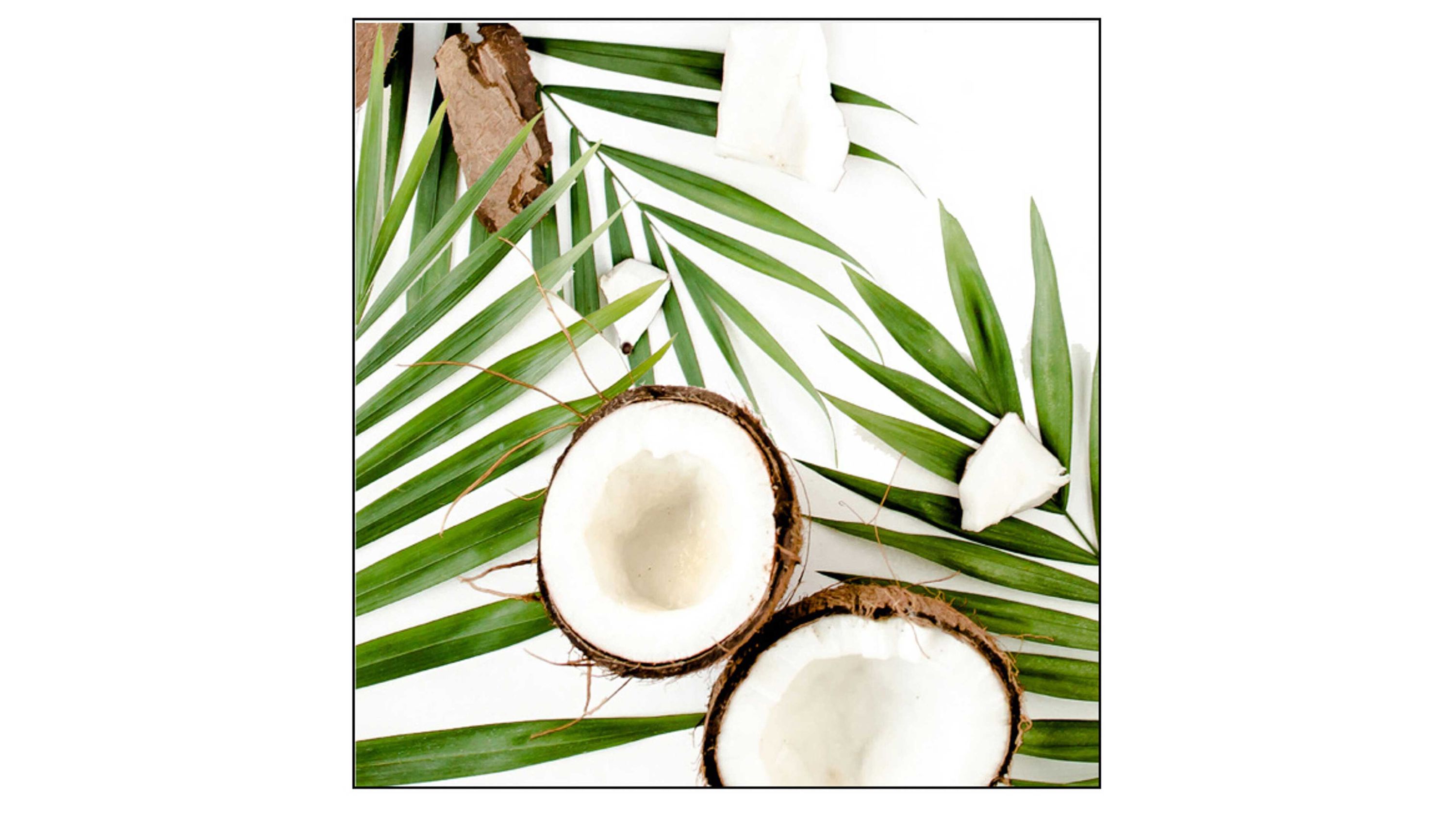 Servietten mit Kokosnuss- und Palmblattmotiv Servietten mit Kokosnuss-Motiv und grünen Palmblättern auf weißem Hintergrund