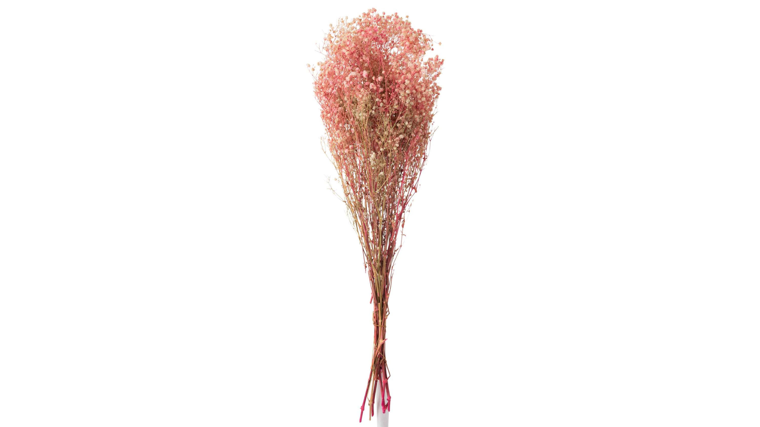 Strauß aus Gipskraut mit rosa und naturfarbenen kleinen Blüten und dünnen Stielen