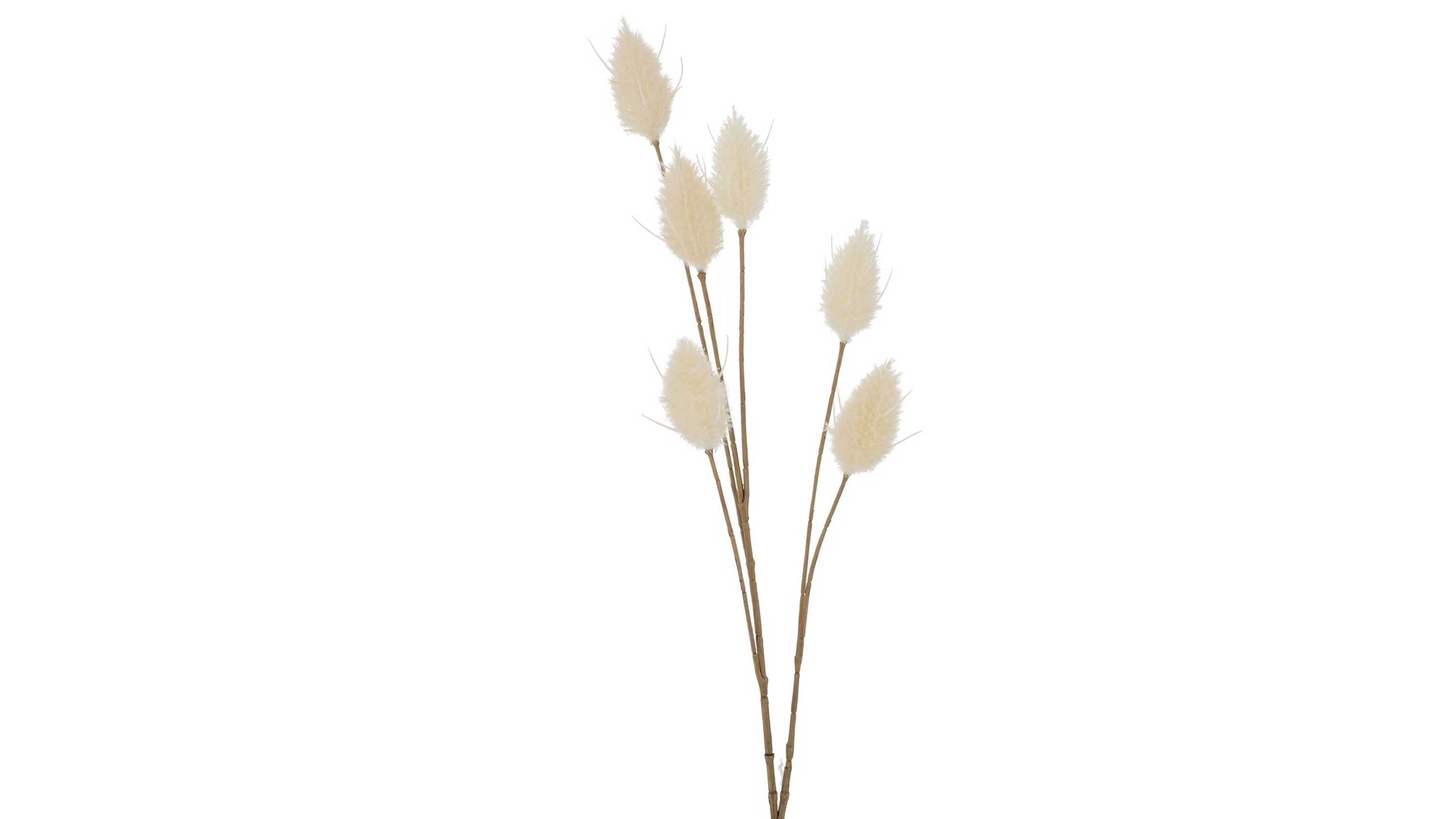 Dekozweig Samtgras Lagurus ovatus L beiger Kunststoff  Höhe ca. 72 cm