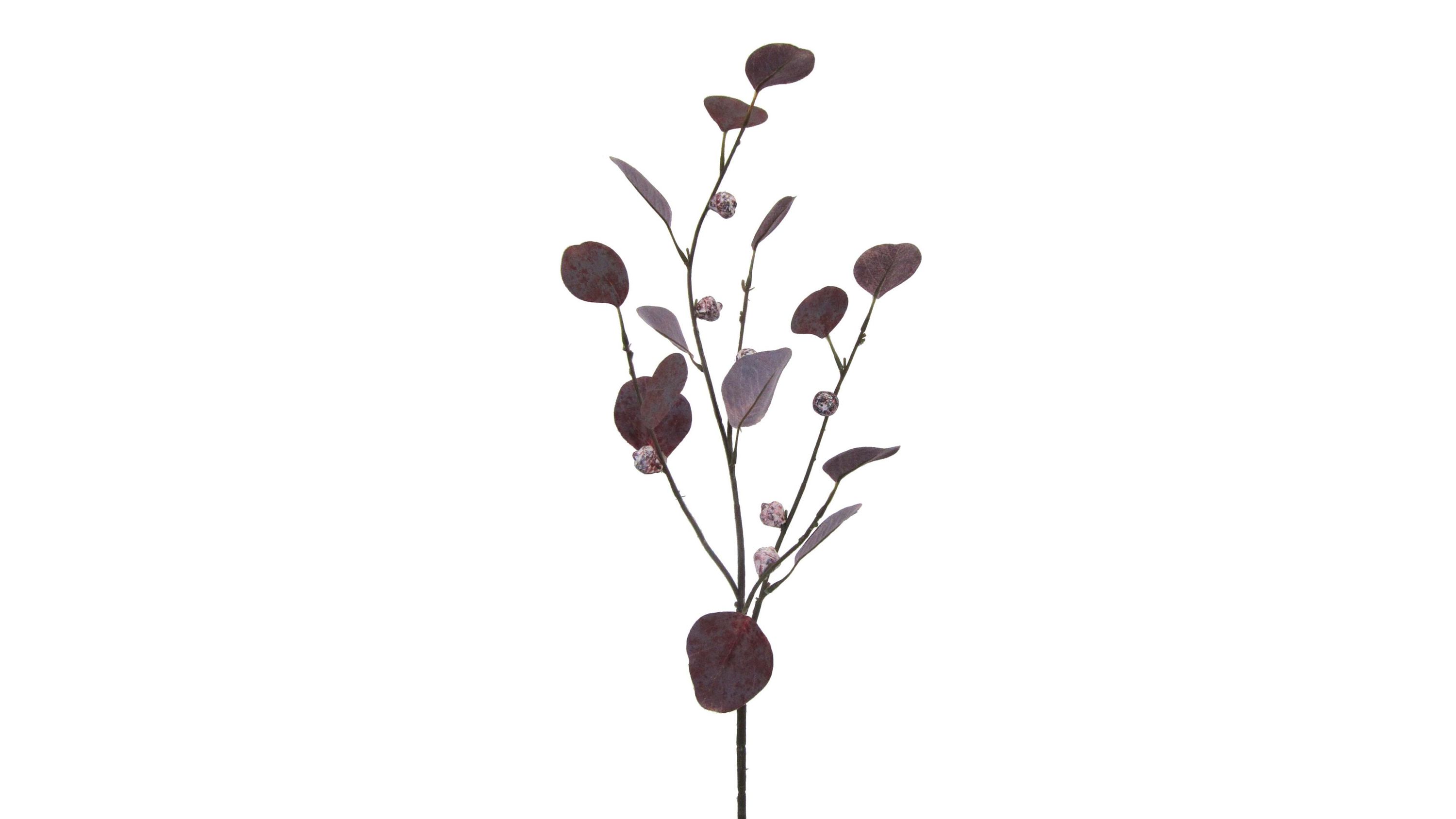 Dünner Zweig mit runden Blättern und kleinen Kugeln in dunklem Violett