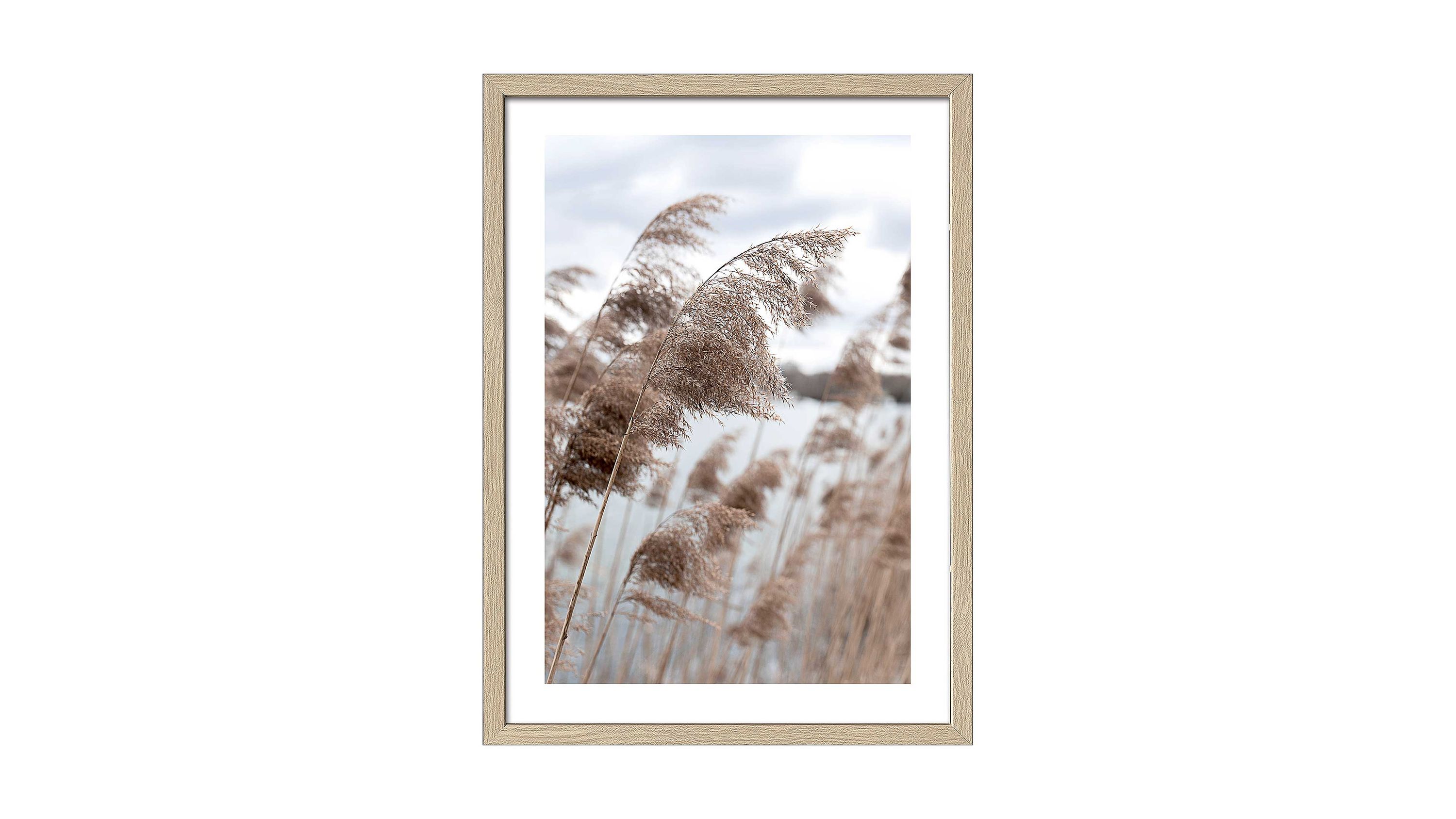 Kunstdruck mit Schilfgras vor Wasser und Himmel in hellem Holzrahmen