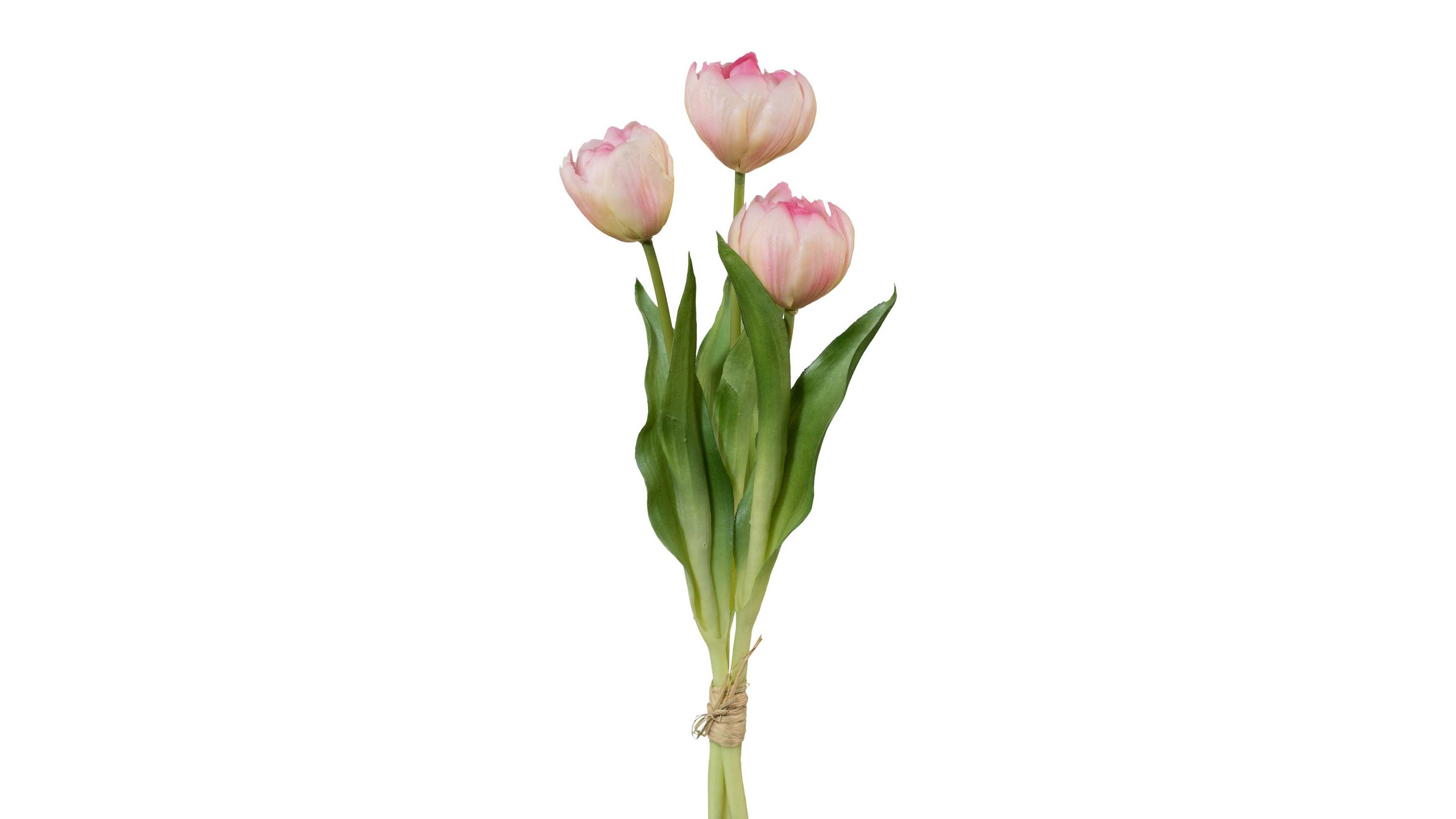Strauß mit drei rosafarbenen Tulpen und grünen Blättern gebündelt