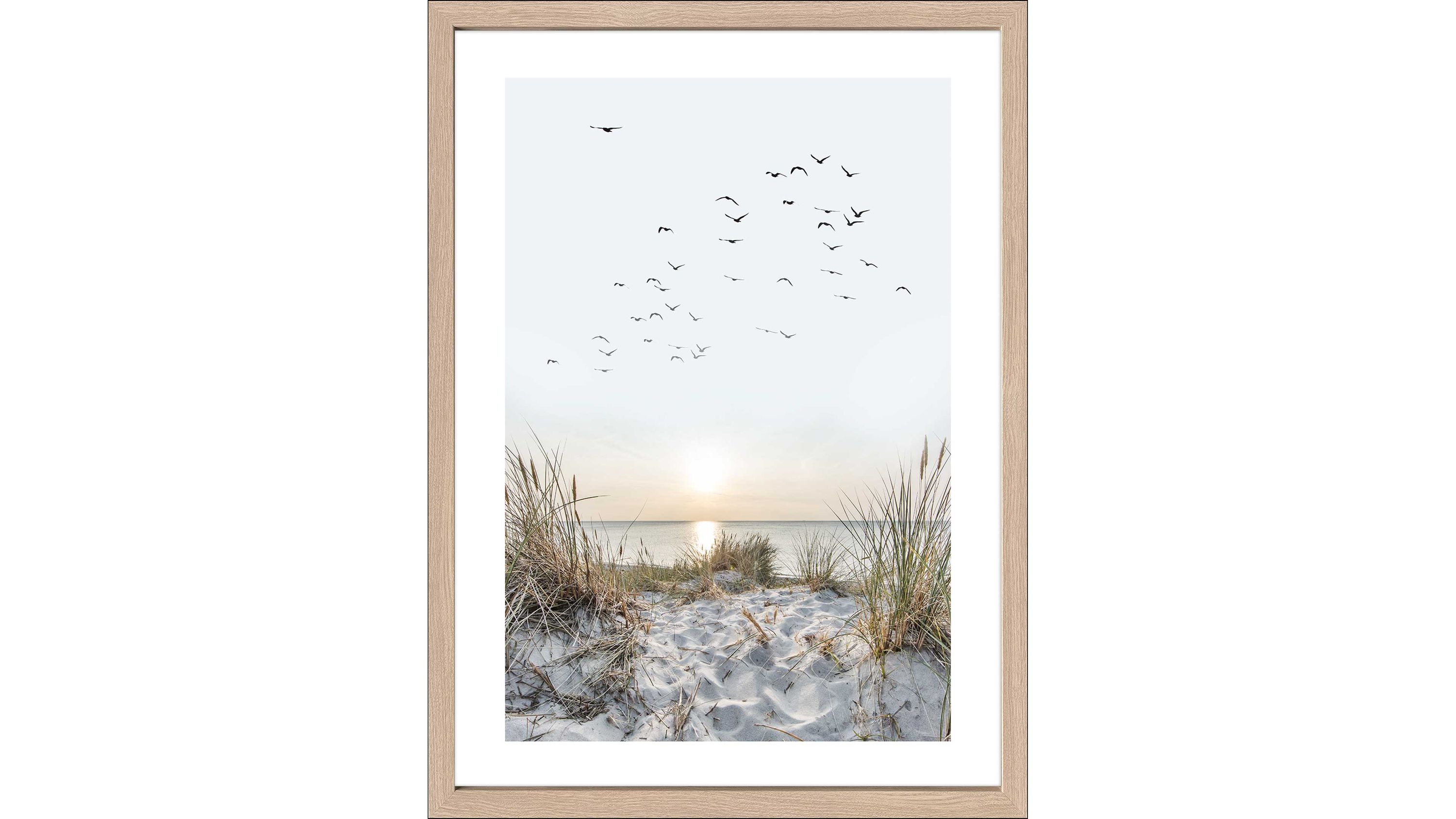 Kunstdruck mit Strandmotiv Sanddünen und Gräsern Vögel am Himmel Sonnenuntergang am Meer