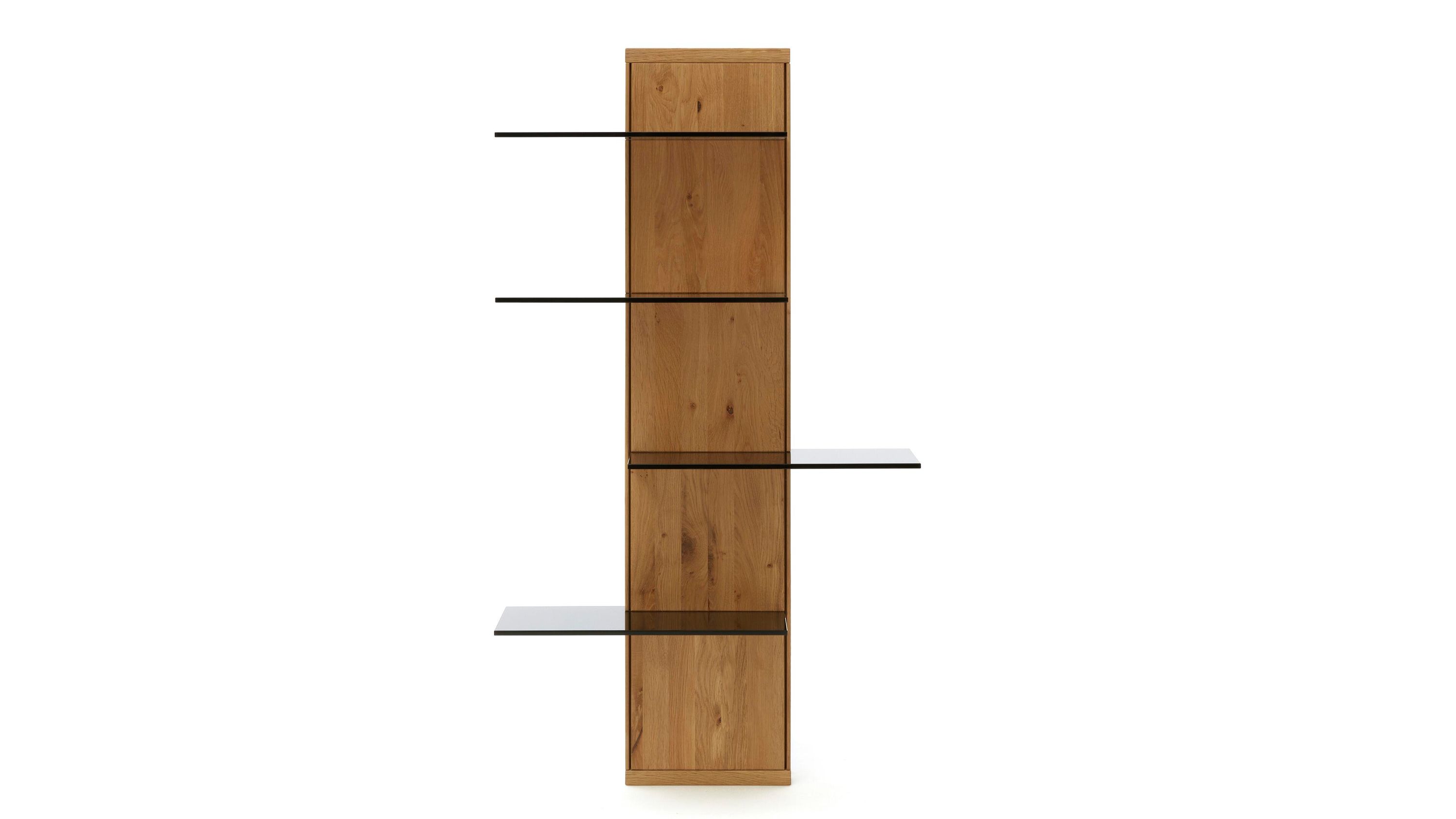 Hängeregal mit Holzrücken und Glasablagen Hängeregal mit vertikalem Holzrücken in hellbrauner Farbe und vier schwarzen Glasablagen