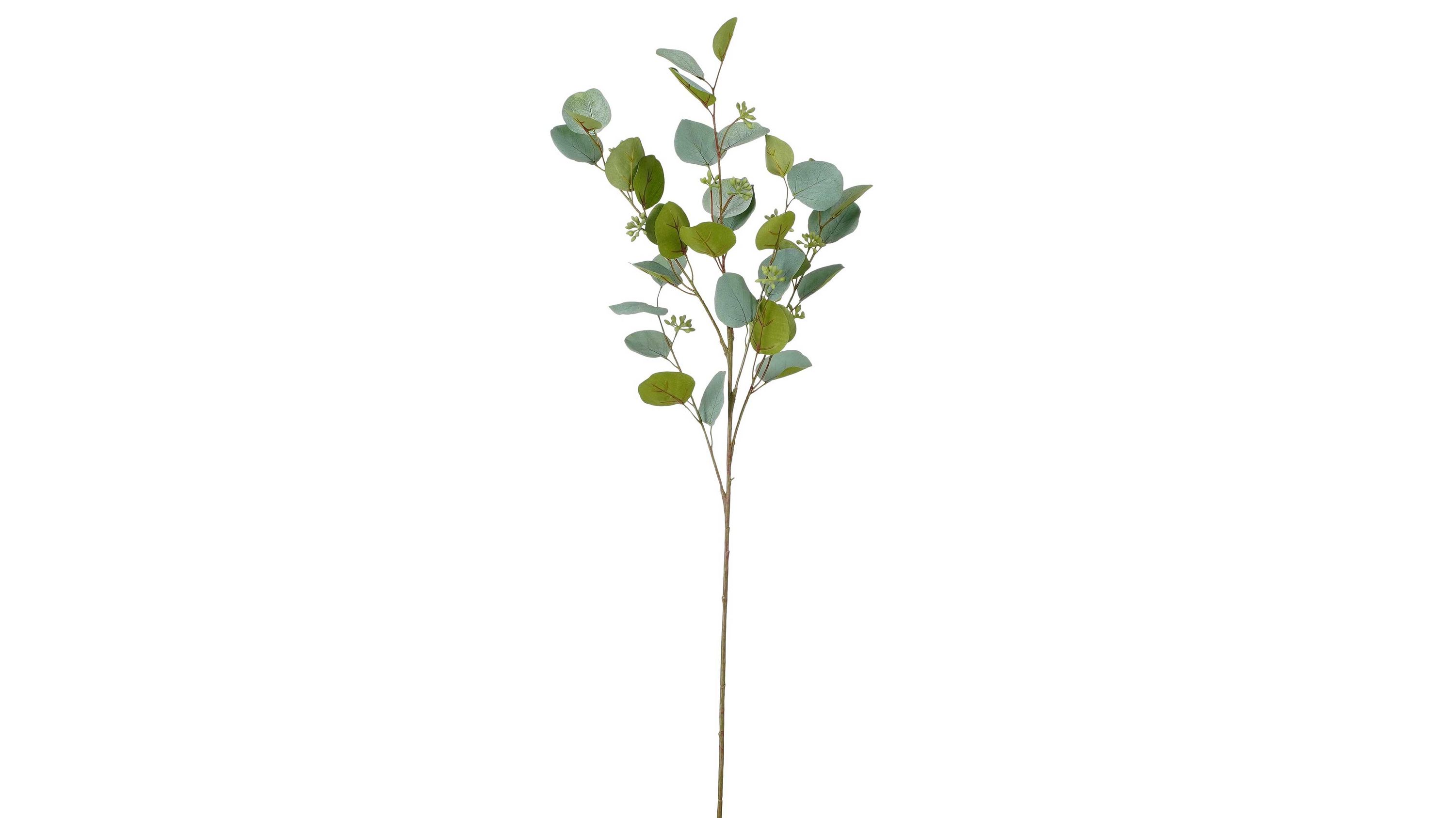 Kunststoffzweig mit grünen Blättern Langer Zweig mit runden grünen Blättern und kleinen Blüten