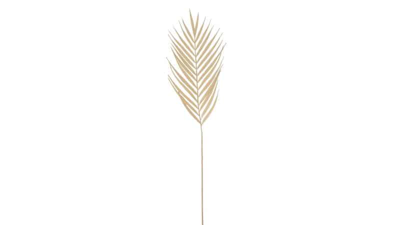 Interliving BEST BUDDYS! Dekozweig Palme