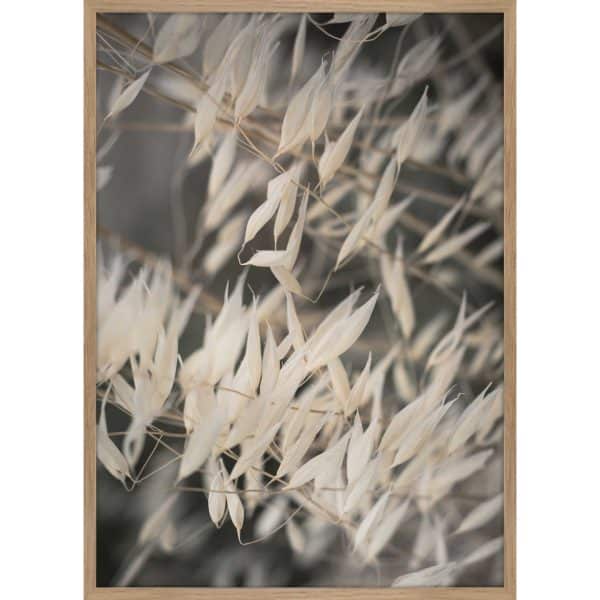 Interliving BEST BUDDYS! Posterdruck Mellow Grasses 4