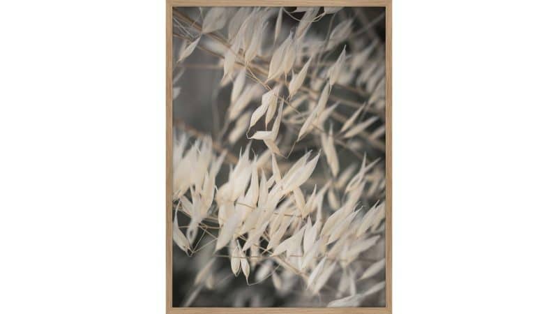 Interliving BEST BUDDYS! Posterdruck Mellow Grasses 4