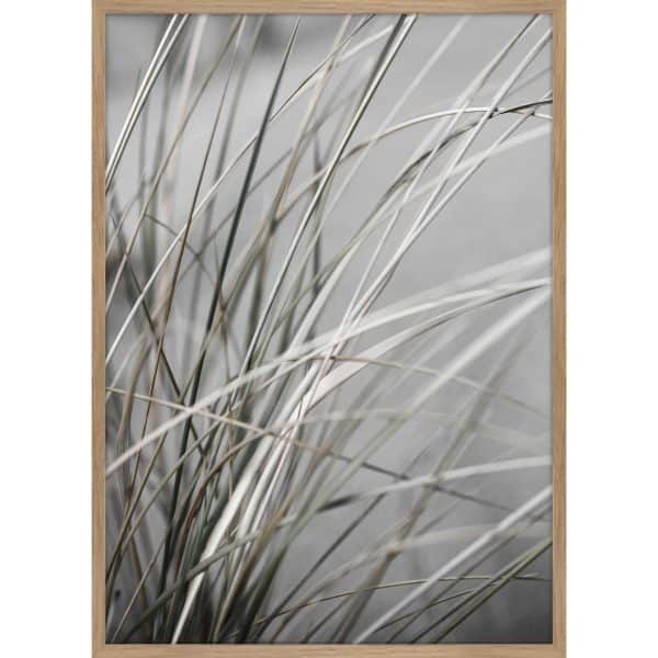 Interliving BEST BUDDYS! Posterdruck Mellow Grasses 1