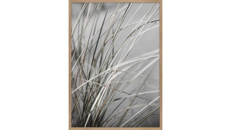 Interliving BEST BUDDYS! Posterdruck Mellow Grasses 1