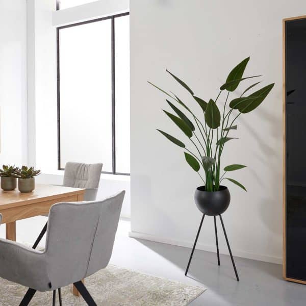 Interliving Wohnzimmer Serie 2024 - Vitrine 07