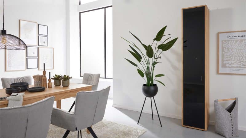 Interliving Wohnzimmer Serie 2024 - Vitrine 07