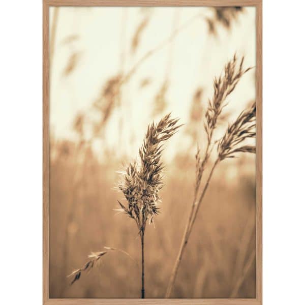 Interliving BEST BUDDYS! Posterdruck Reed 3