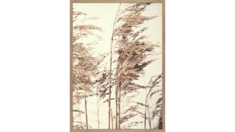 Interliving BEST BUDDYS! Posterdruck Reed 1