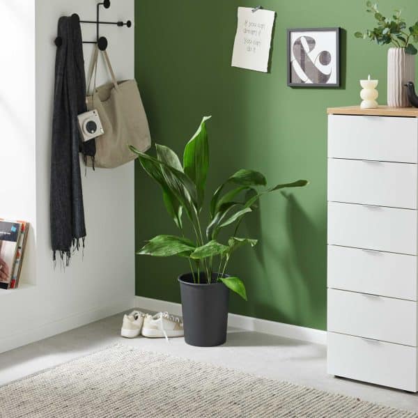 Interliving Kleiderschrank Serie 1208 - Schubladenkommode 86725