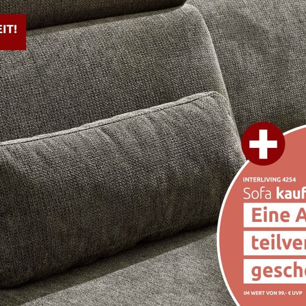 Interliving Sofa Serie 4254 - Nierenkissen